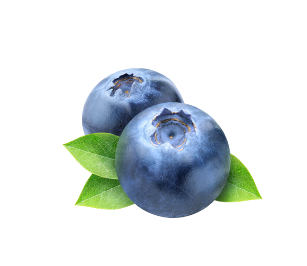 Черника мультяшный без фона