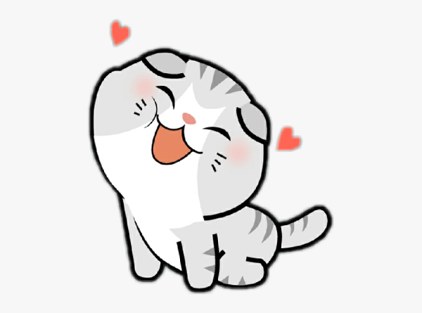 Умиляющийся котик