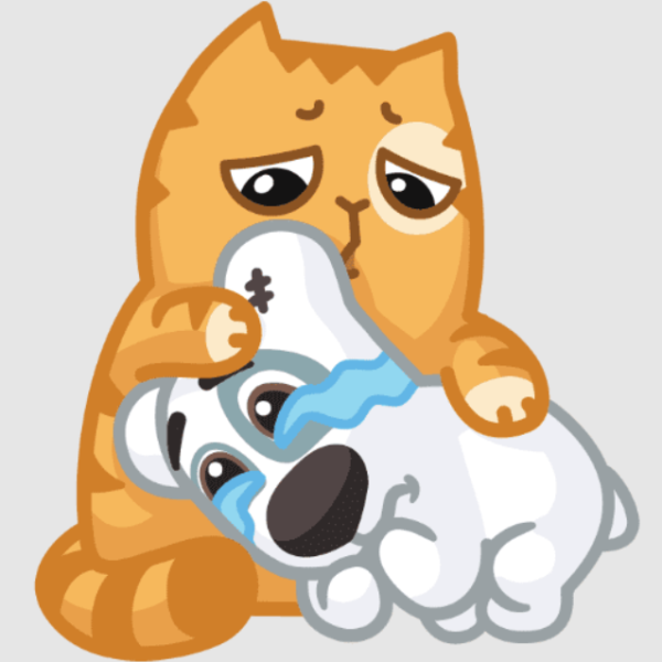 Кот персик и пес Спотти