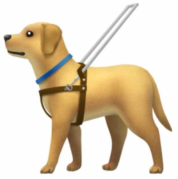 Эмодзи собака поводырь