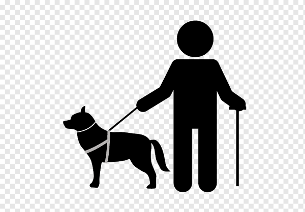 Собака поводырь знак