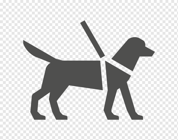 Собака поводырь