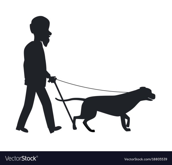 Собака поводырь