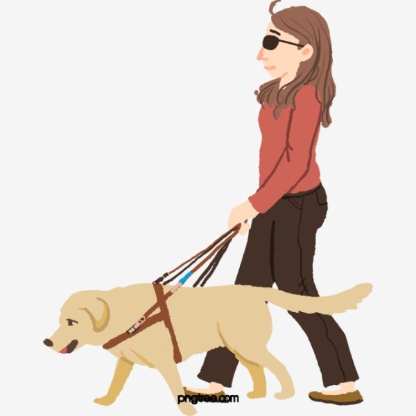 Иллюстрации для слепых собак поводырей