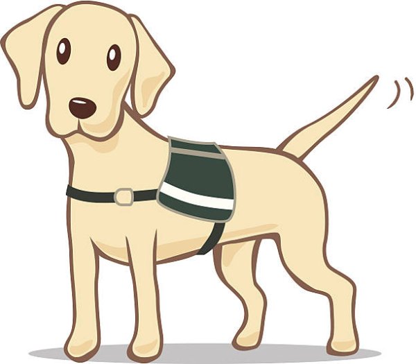 Собака поводырь на прозрачном фоне