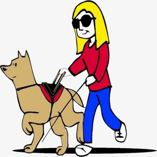 Собака поводырь прикол