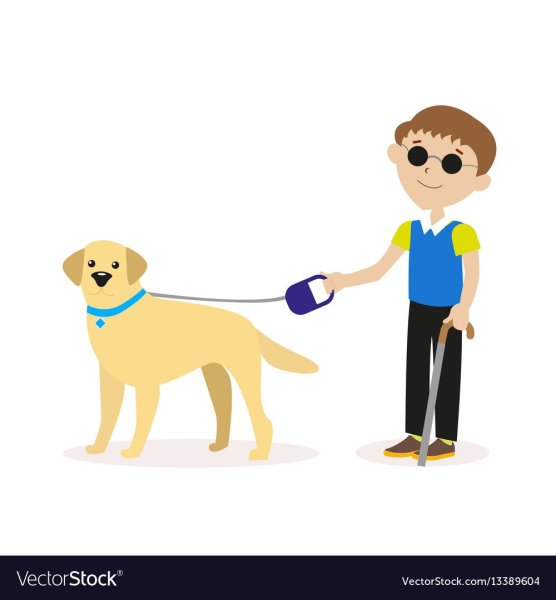 Слепой человек с собакой поводырем