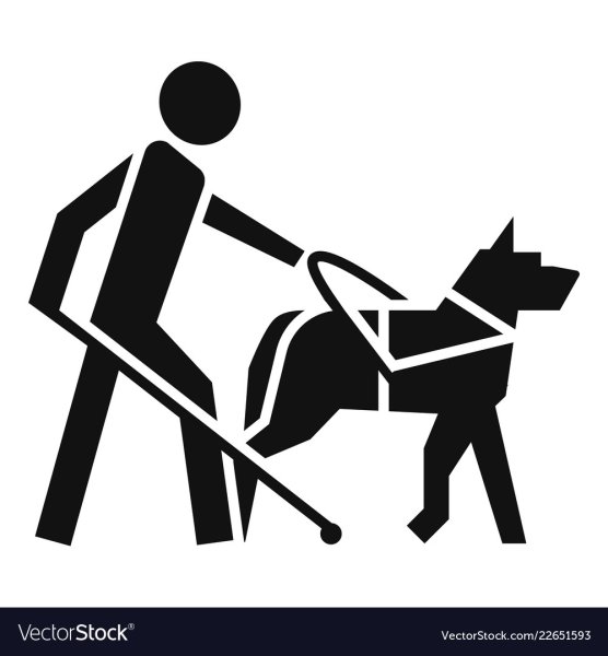 Собака поводырь знак