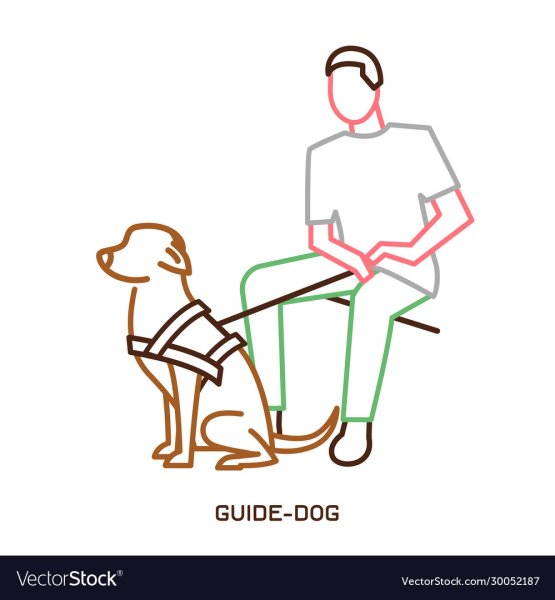 Раскраска для детей человек с собакой поводырем
