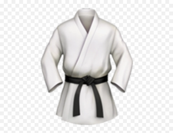 Кимоно дзюдоистское с черным поясом