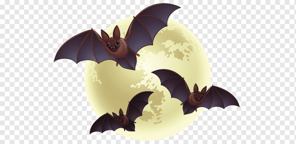 Летучая мышь на прозрачном фоне