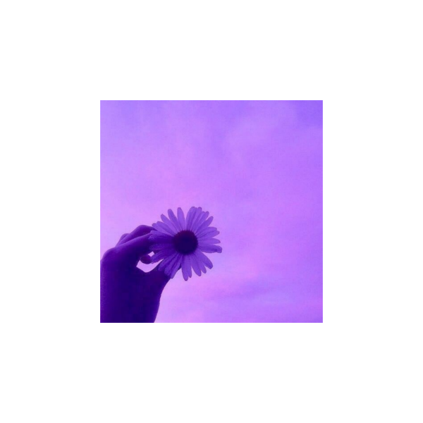 Эстетика фиолетового