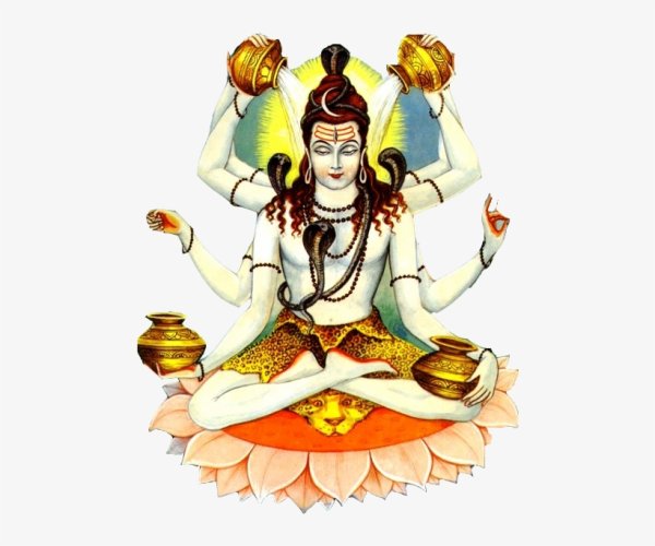 Шива вектор