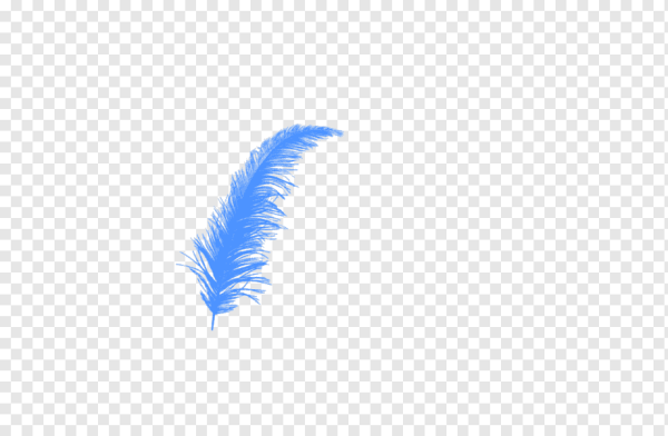 Голубое перо на прозрачном фоне