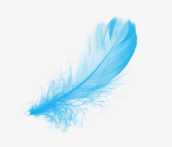 Перышко на прозрачном фоне