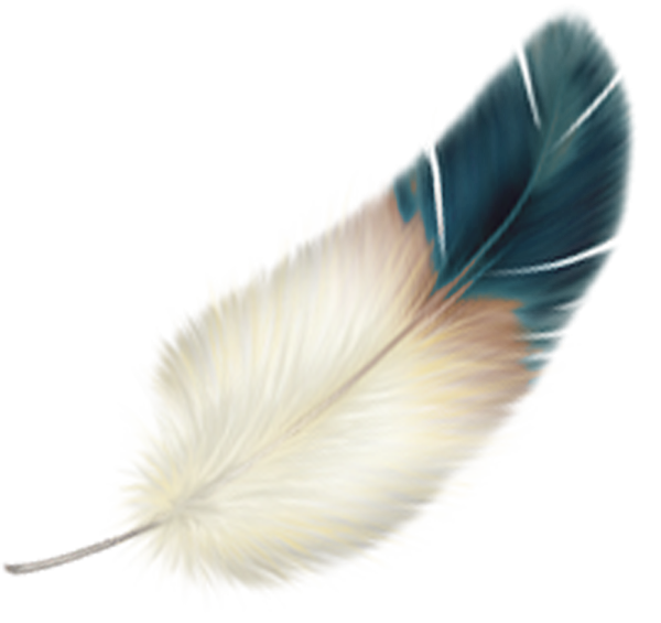 Перо для детей