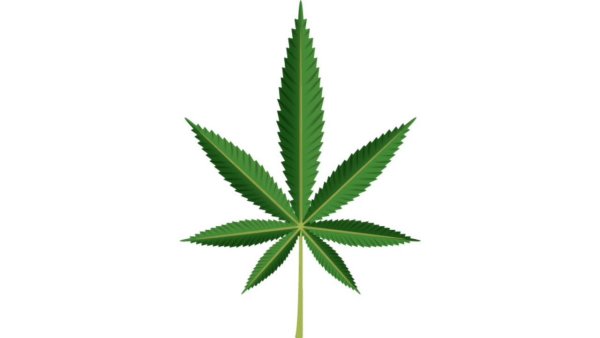 ЭМОДЖИ гашиш