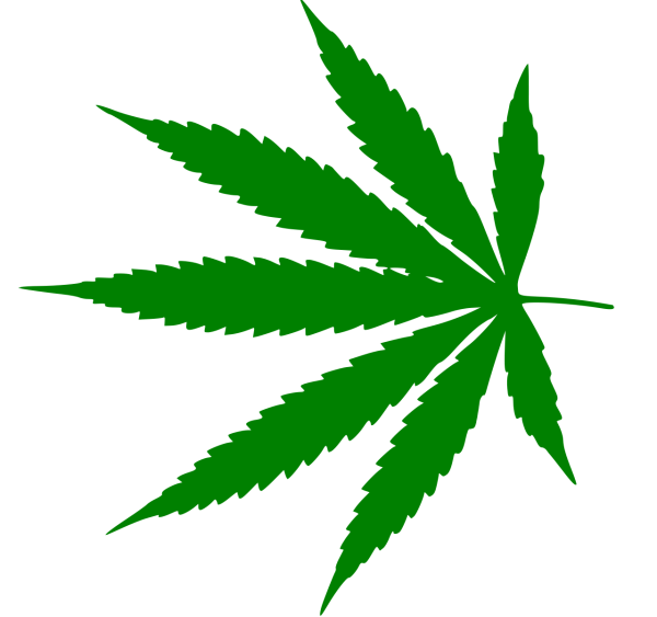 Листик конопли