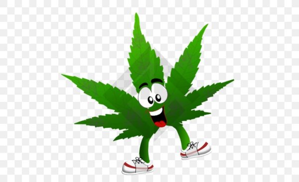 Мультяшная марихуана