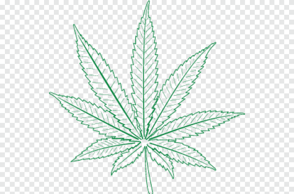 Канаплянныйф лист прозрачном фоне