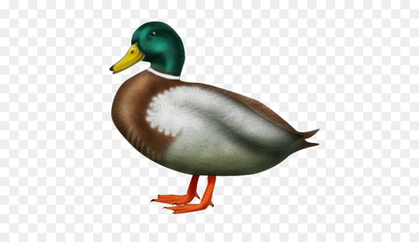 Смайлик уточка