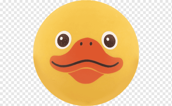 Мордочка утки