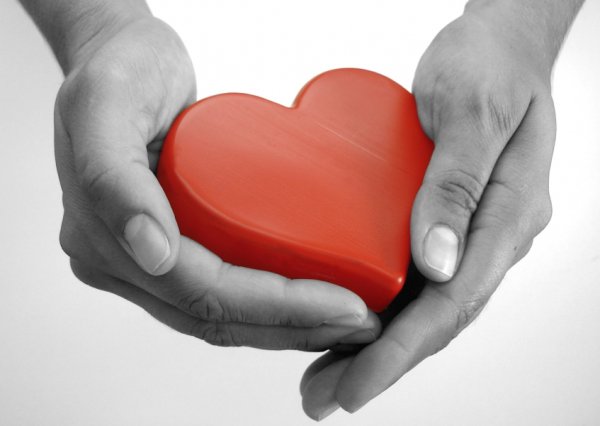 Милосердие и сострадание