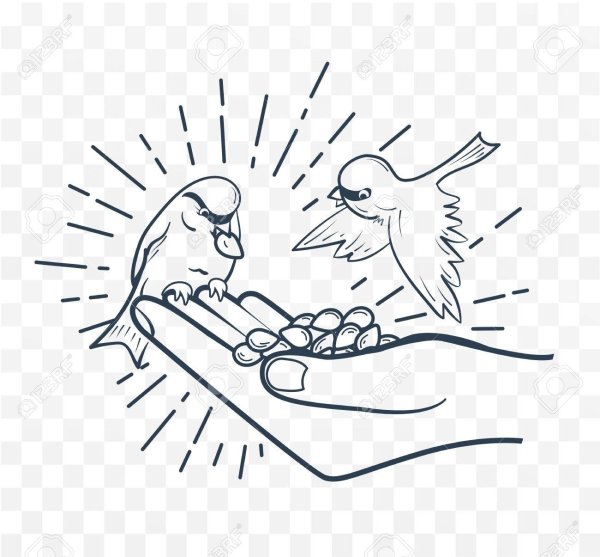 Воспитание любви к животным