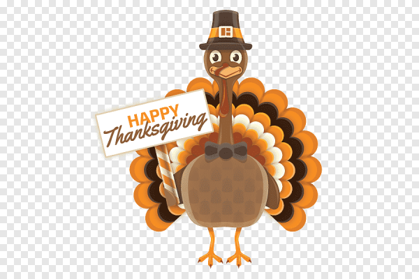 Индюшка бежит