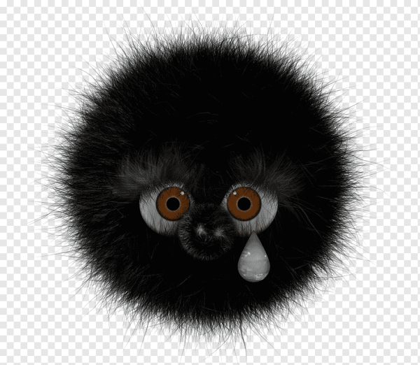 Пушистый шарик с глазами