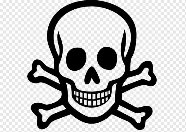 Череп с костями вектор