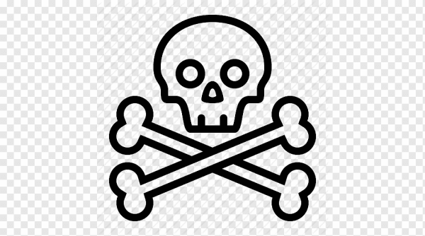 Скрещенные кости