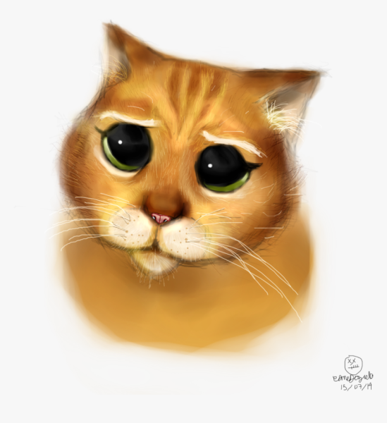 Мордочка кота из Шрека