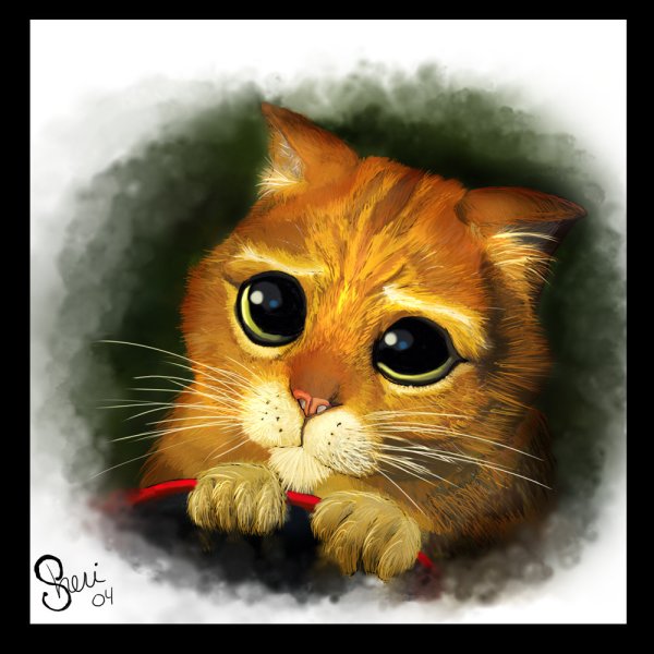 Глазки кота из Шрека