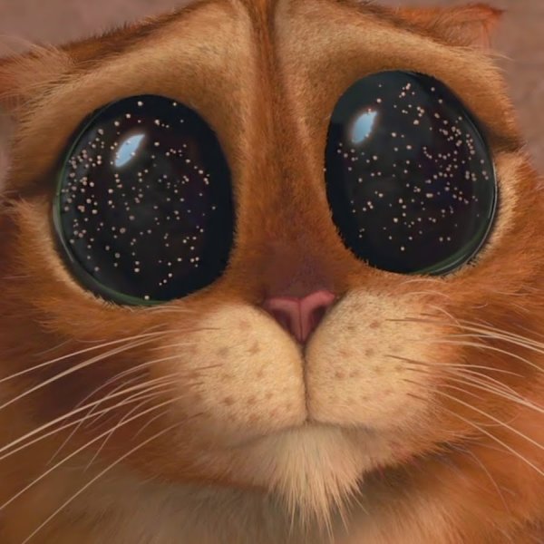 Глазки кота из Шрека