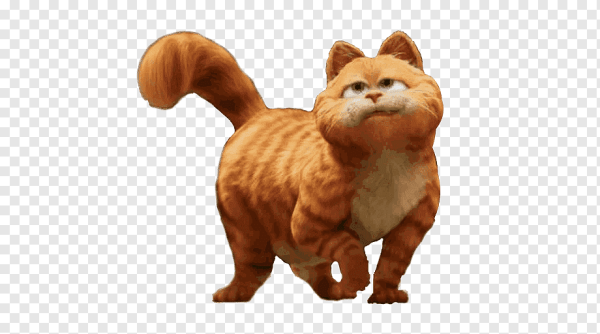 Кот из Шрека