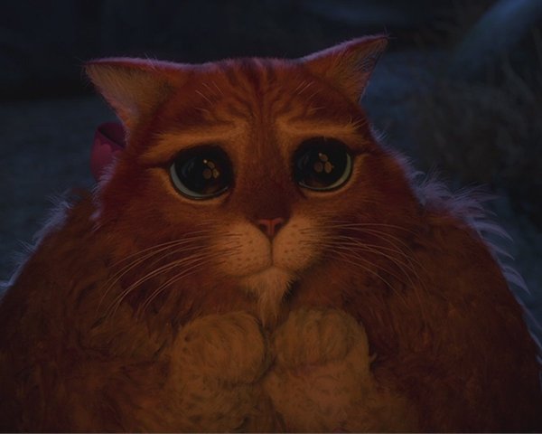 Кот из Шрека с большими грустными глазами
