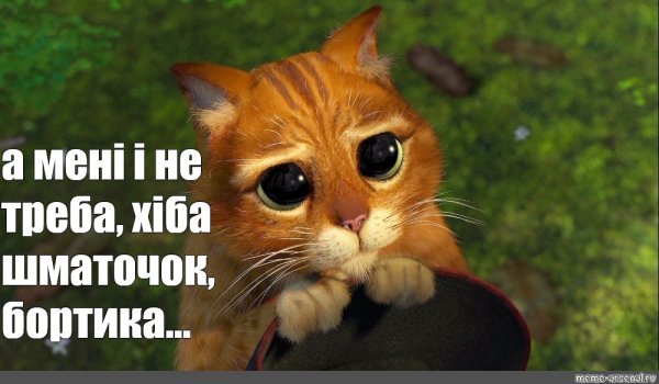 Жалостливый взгляд кота из Шрека