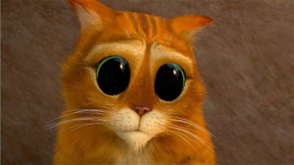 Мультфильм кот в сапогах