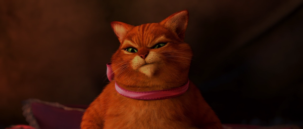 Рыжий кот Шрек