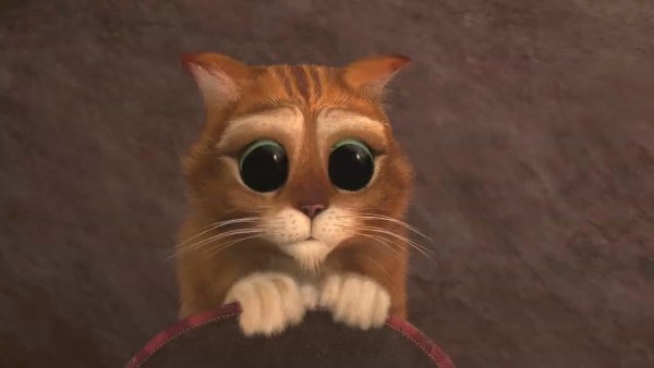 Кот из Шрека с большими глазами