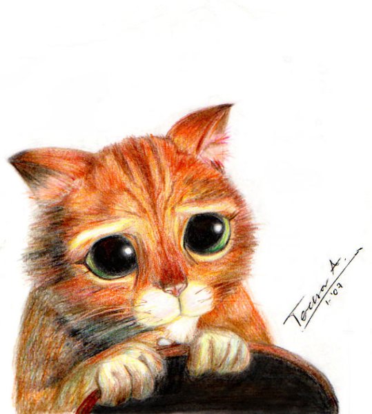 Котик с умоляющими глазами