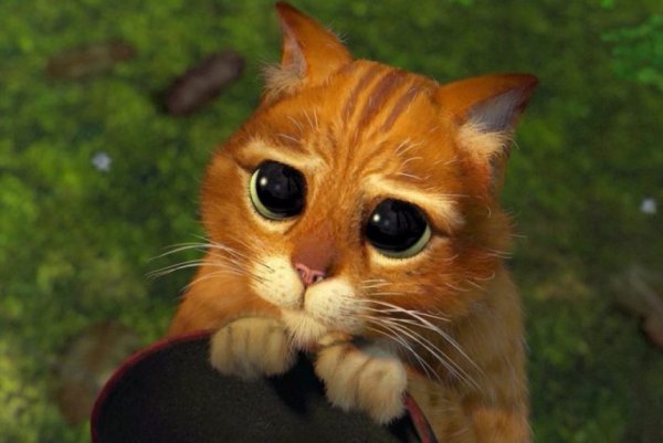 Кот в сапогах из Шрека глаза