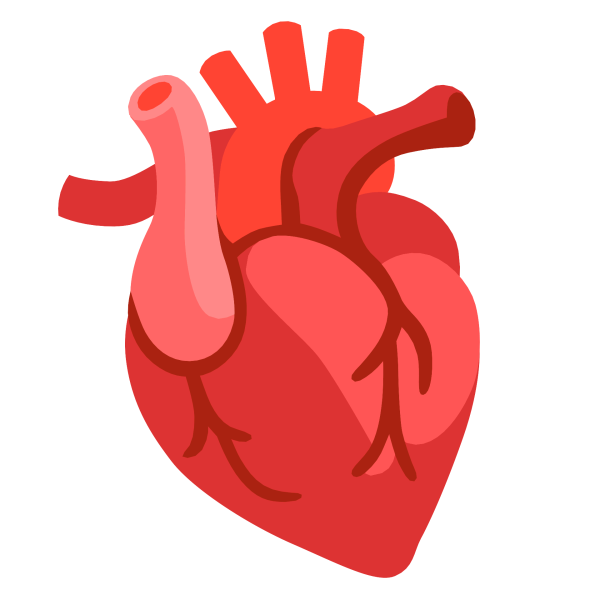 Сердце человека стикер