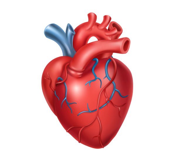 Сердечная недостаточность без фона