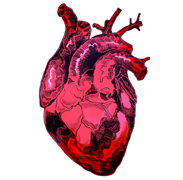 Ледяное сердце