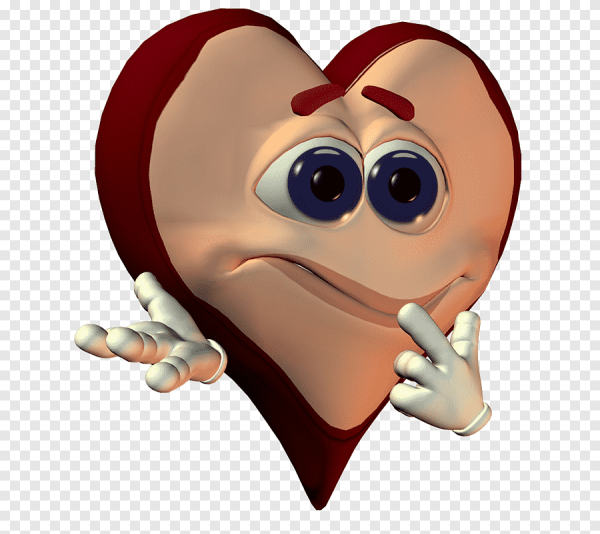 Сердце орган для детей