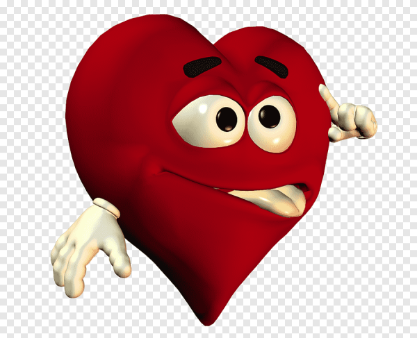 Сердце орган для детей