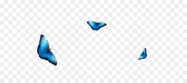 Смайлик синей бабочки на прозрачном фоне