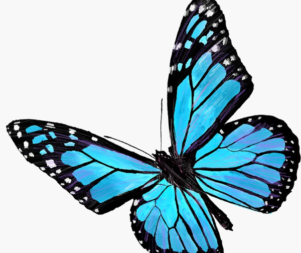 Стикеры "бабочки"